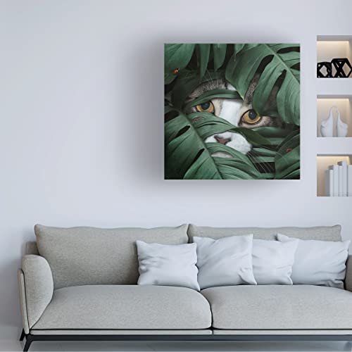Sneaky Cat – Canvas Wall Art