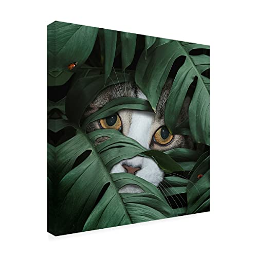 Sneaky Cat – Canvas Wall Art