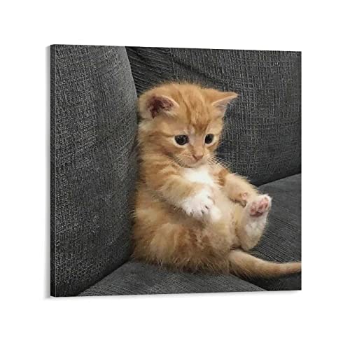 Cat Hanging Canvas Poster