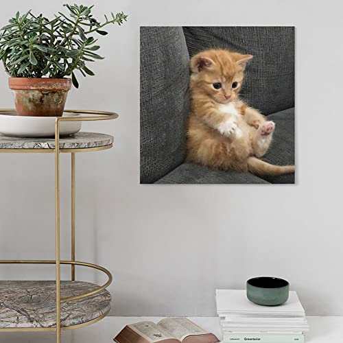 Cat Hanging Canvas Poster