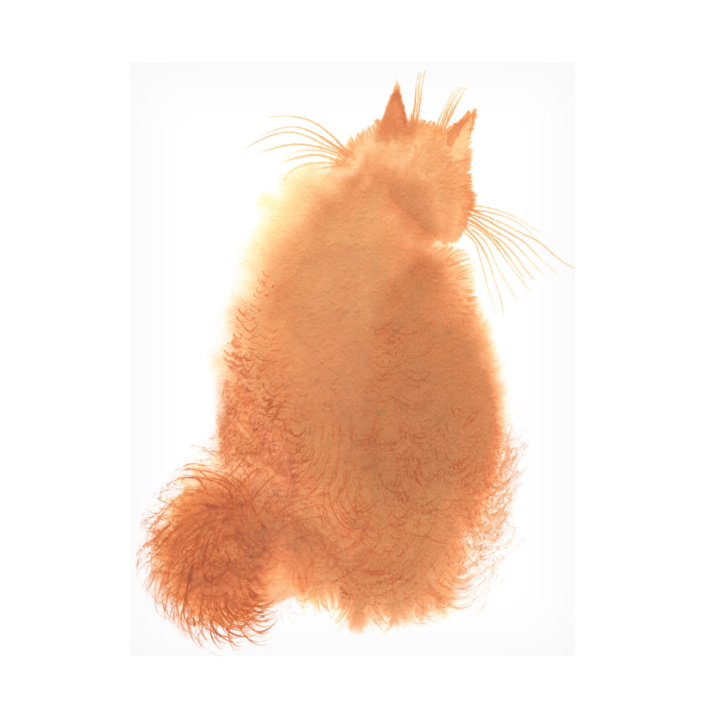Fluffy Ginger Cat – Canvas Art